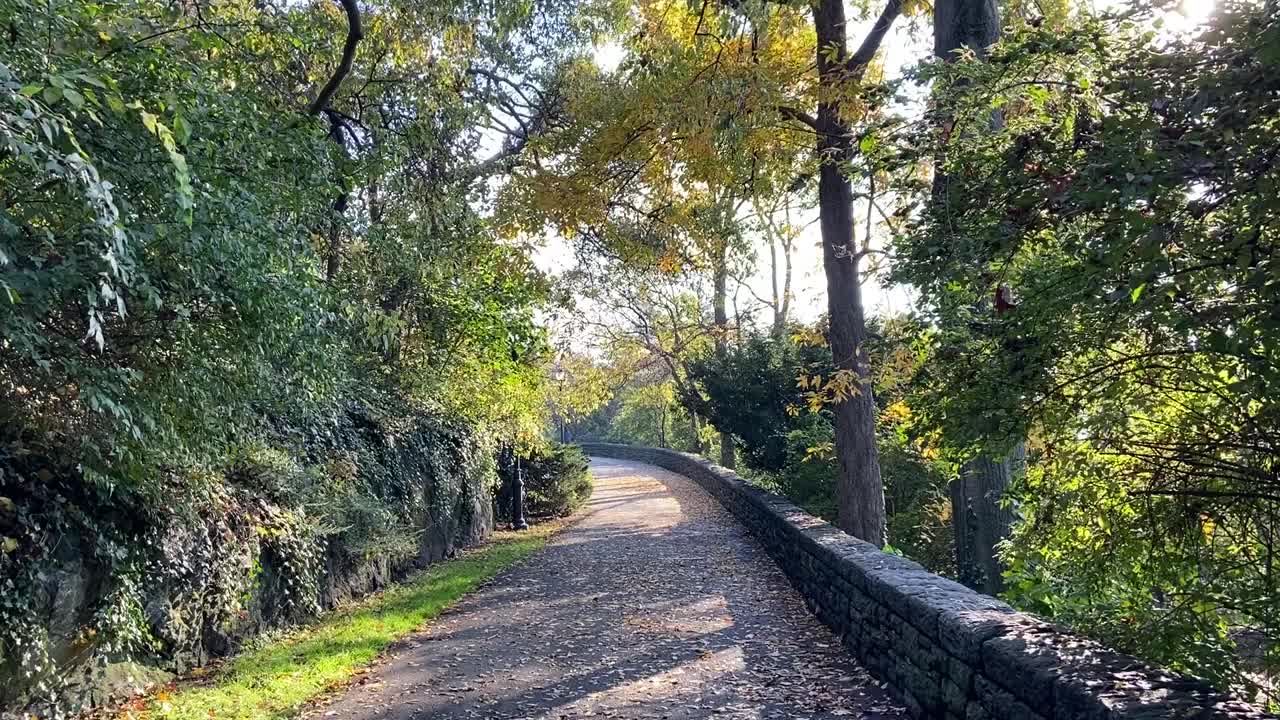 在华盛顿高地的特赖恩堡公园，阳光透过树木闪烁，走在一条有石墙的小路上视频下载