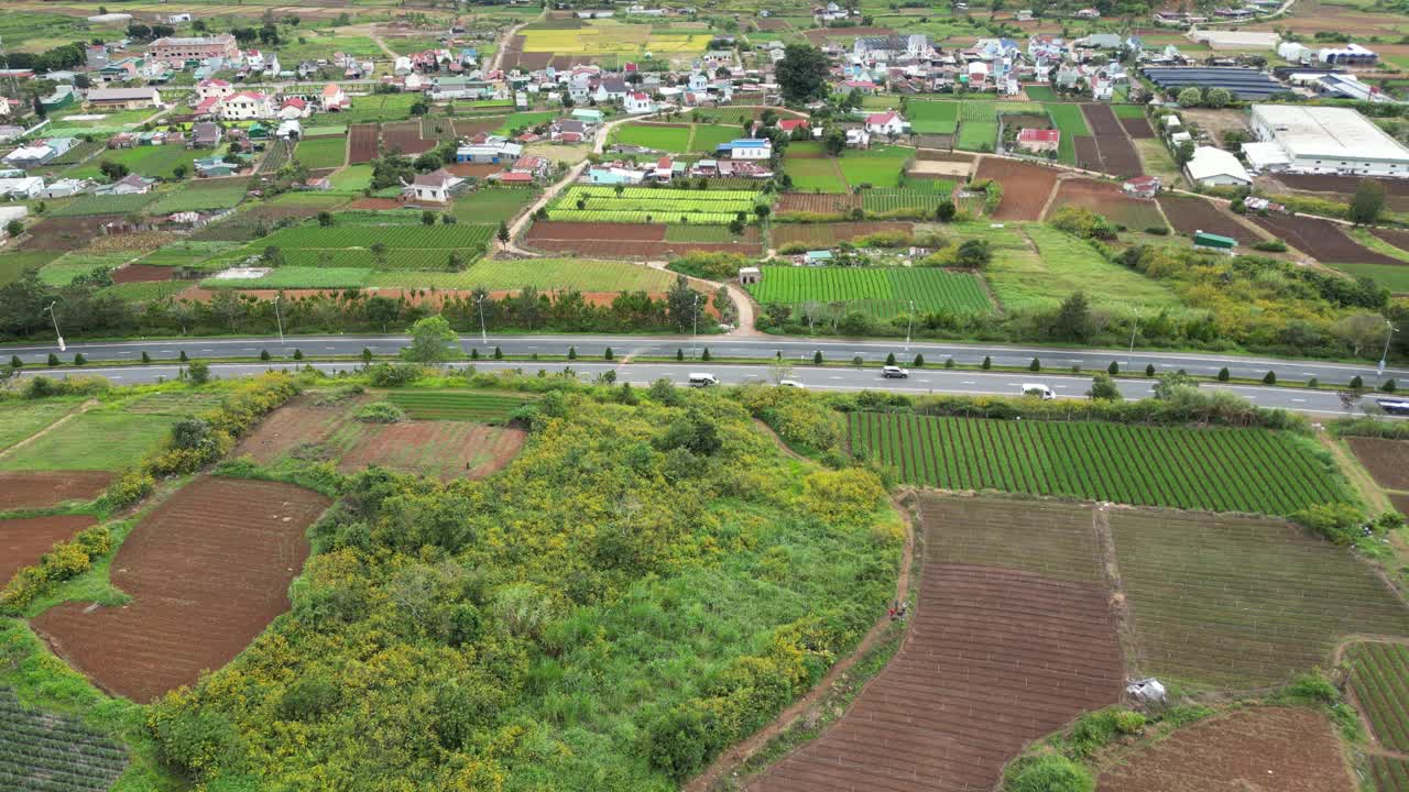 野花视频素材