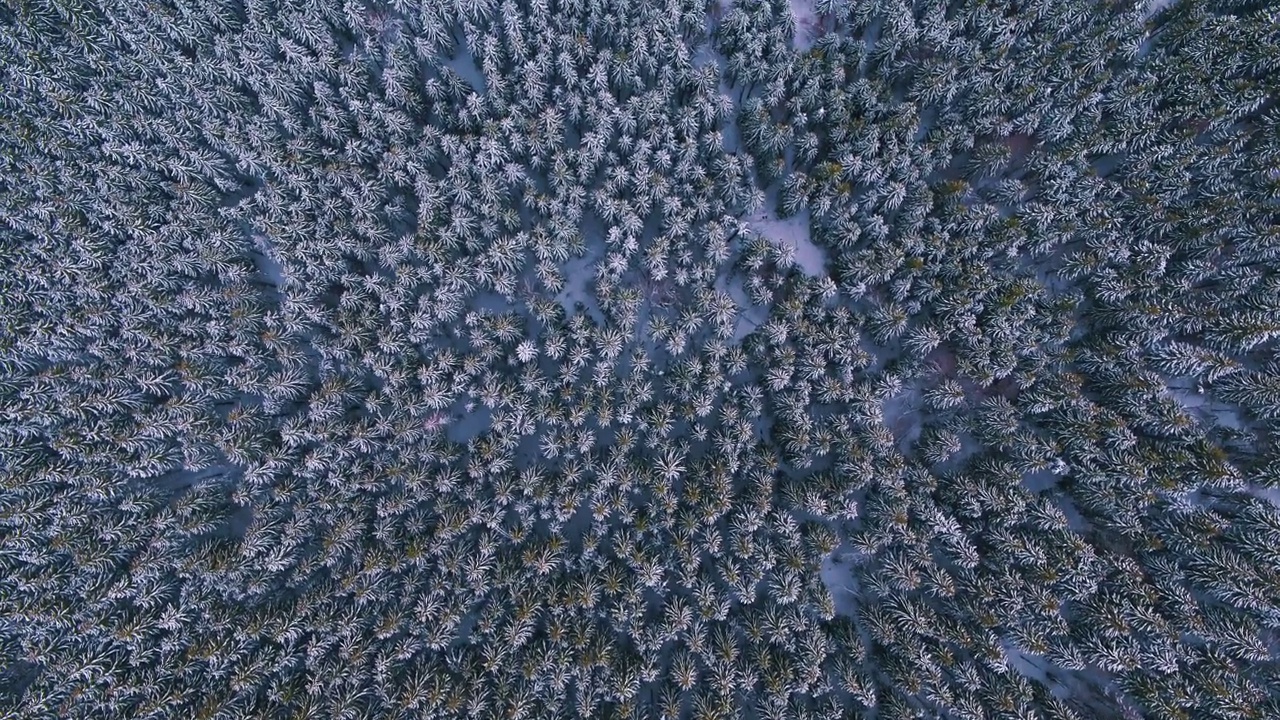 冬天的雪山视频素材