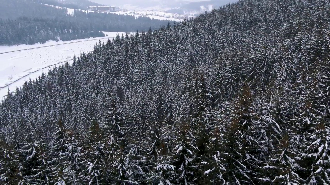 冬天的雪山视频素材