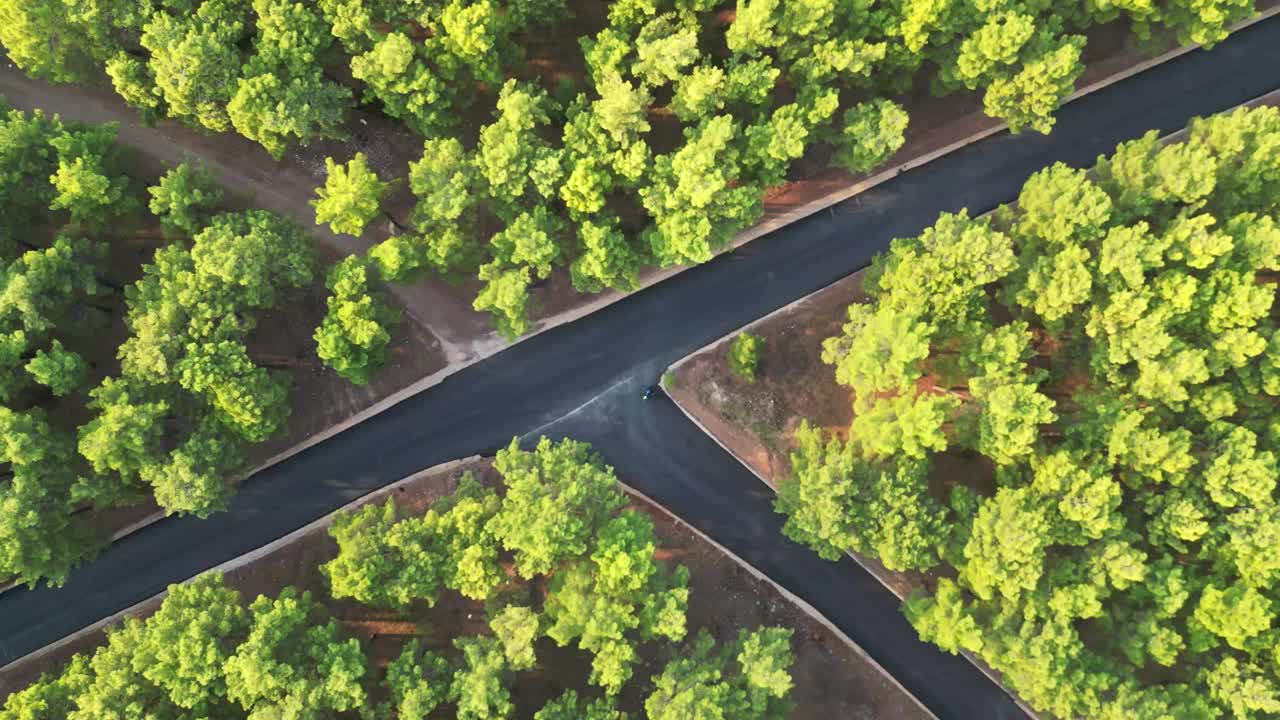 电动汽车在森林路上右转视频下载