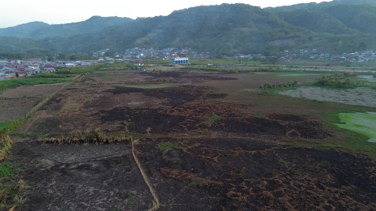 林波托湖边缘陆地火灾的鸟瞰图视频素材