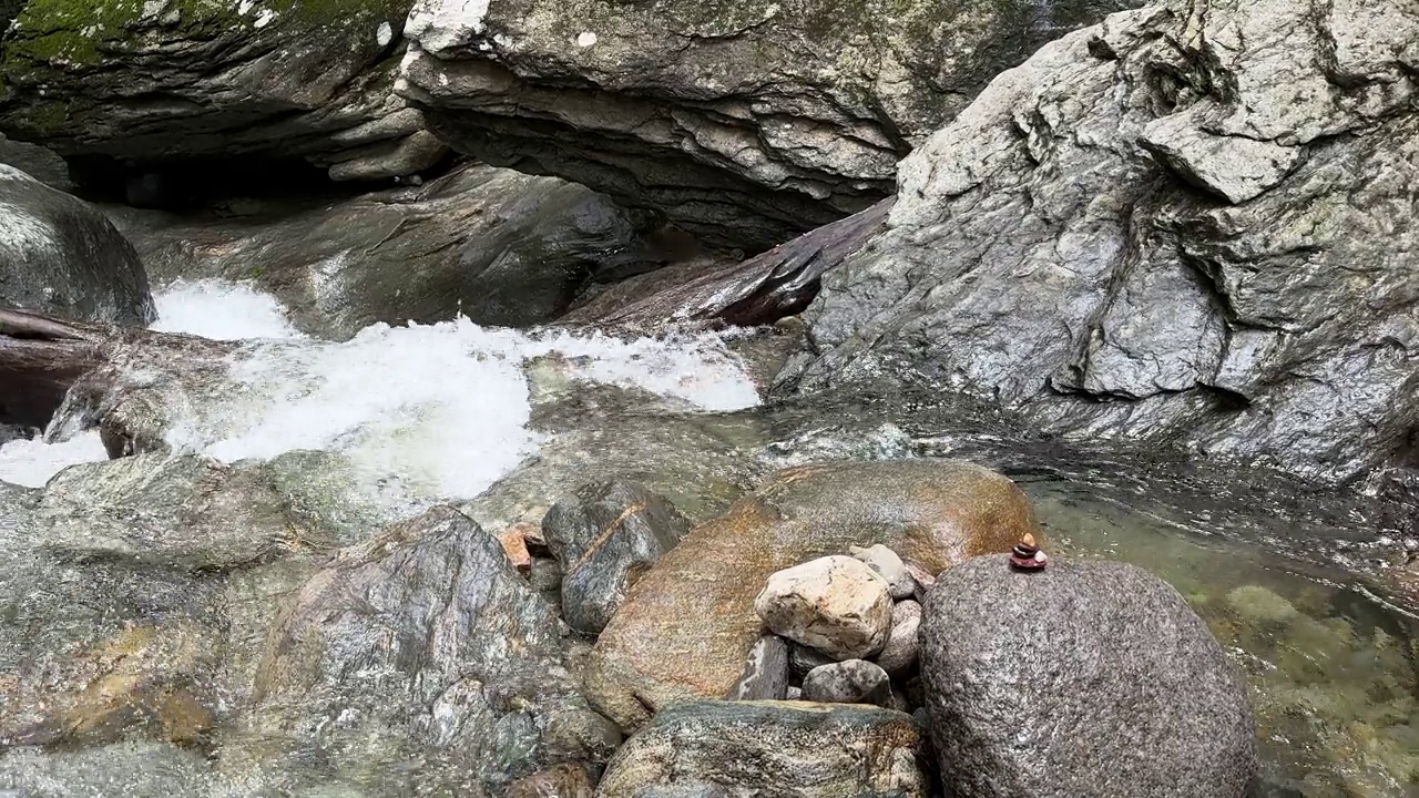 山间河流在森林里视频下载