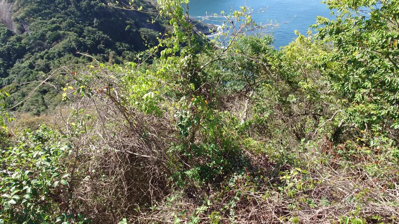 巴西里约热内卢的甜面包山全景视频素材