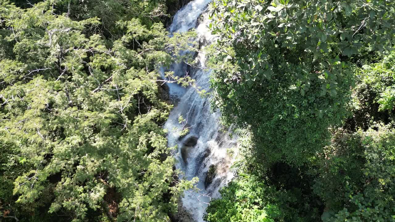 大自然的宁静，就像水在森林的绿色中流动和舞蹈。视频素材