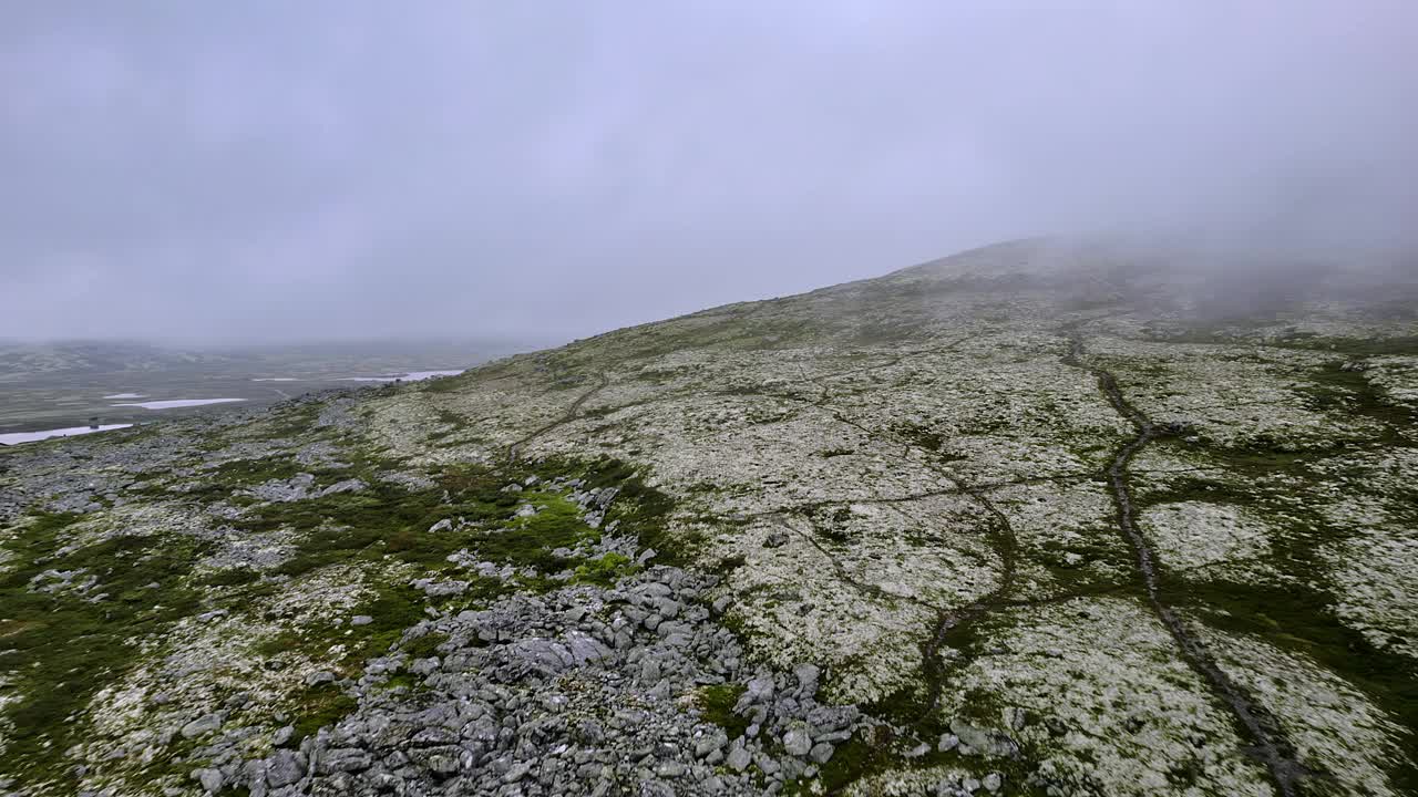 飞越山腰，雾蒙蒙的风景长满了驯鹿苔藓和地衣视频素材