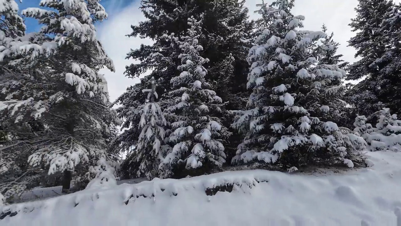 雪后山林视频素材