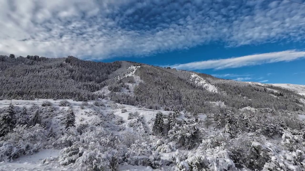 雪后山林视频素材