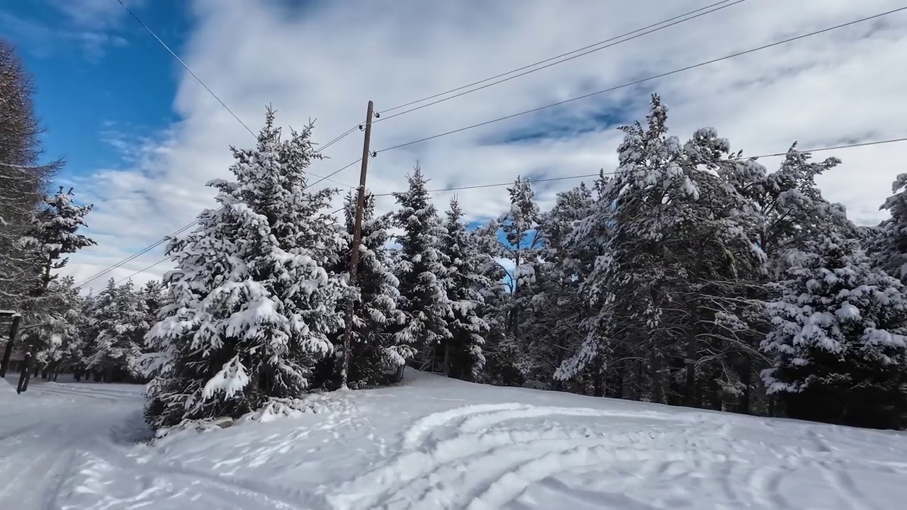 雪后山林视频素材