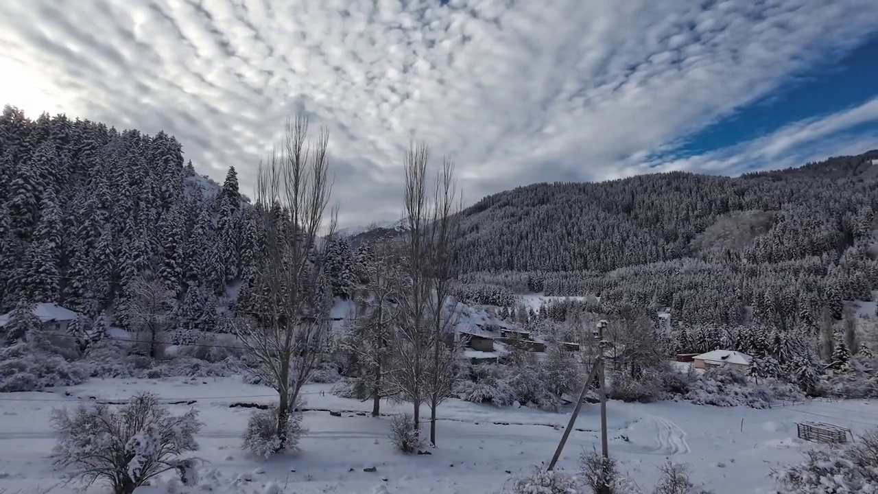 雪后山路视频素材