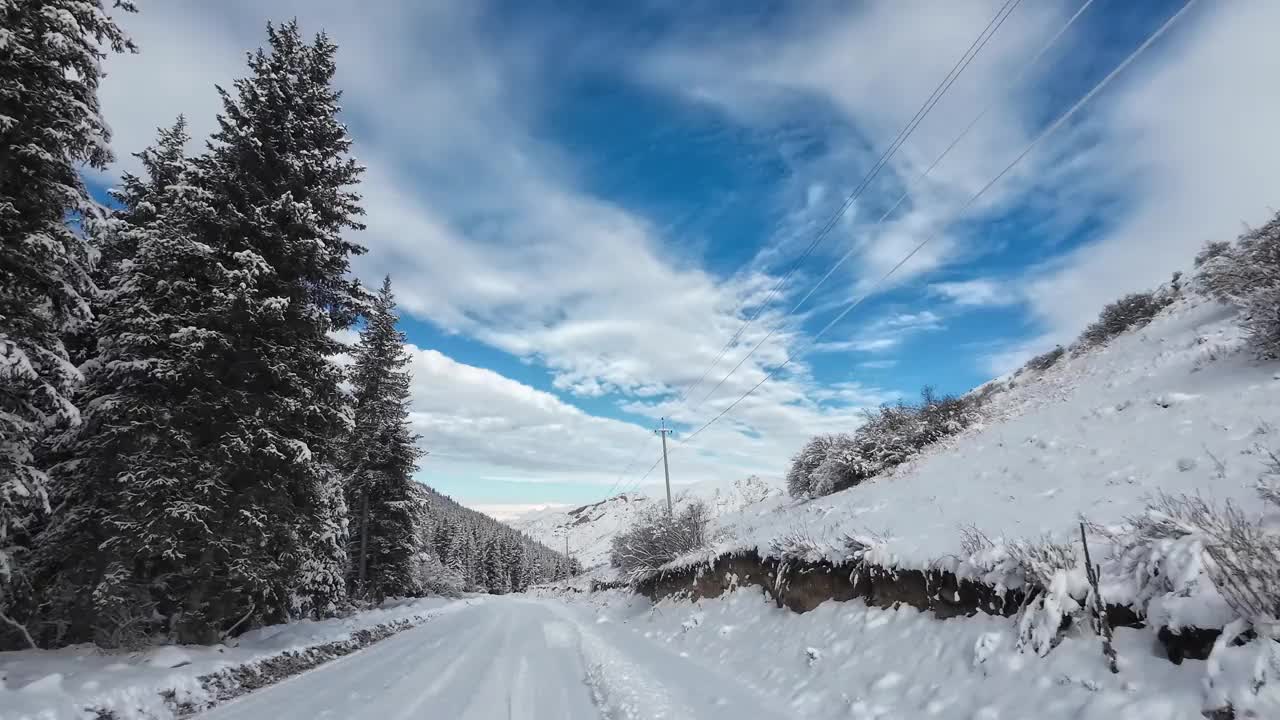 雪路穿过冬天的森林视频素材