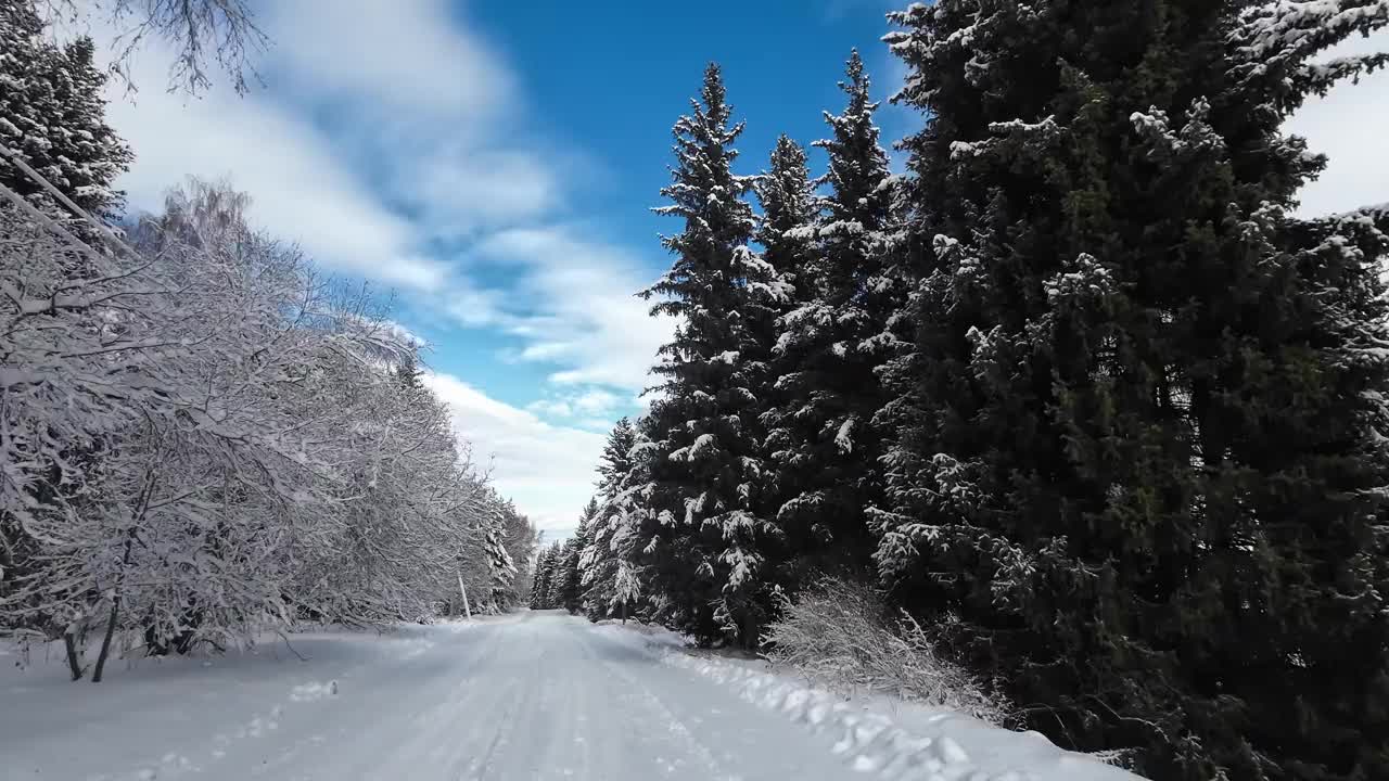 雪路穿过冬天的森林视频素材