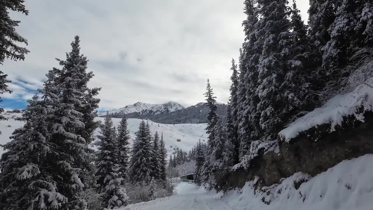 雪道穿过冬季的山林视频素材