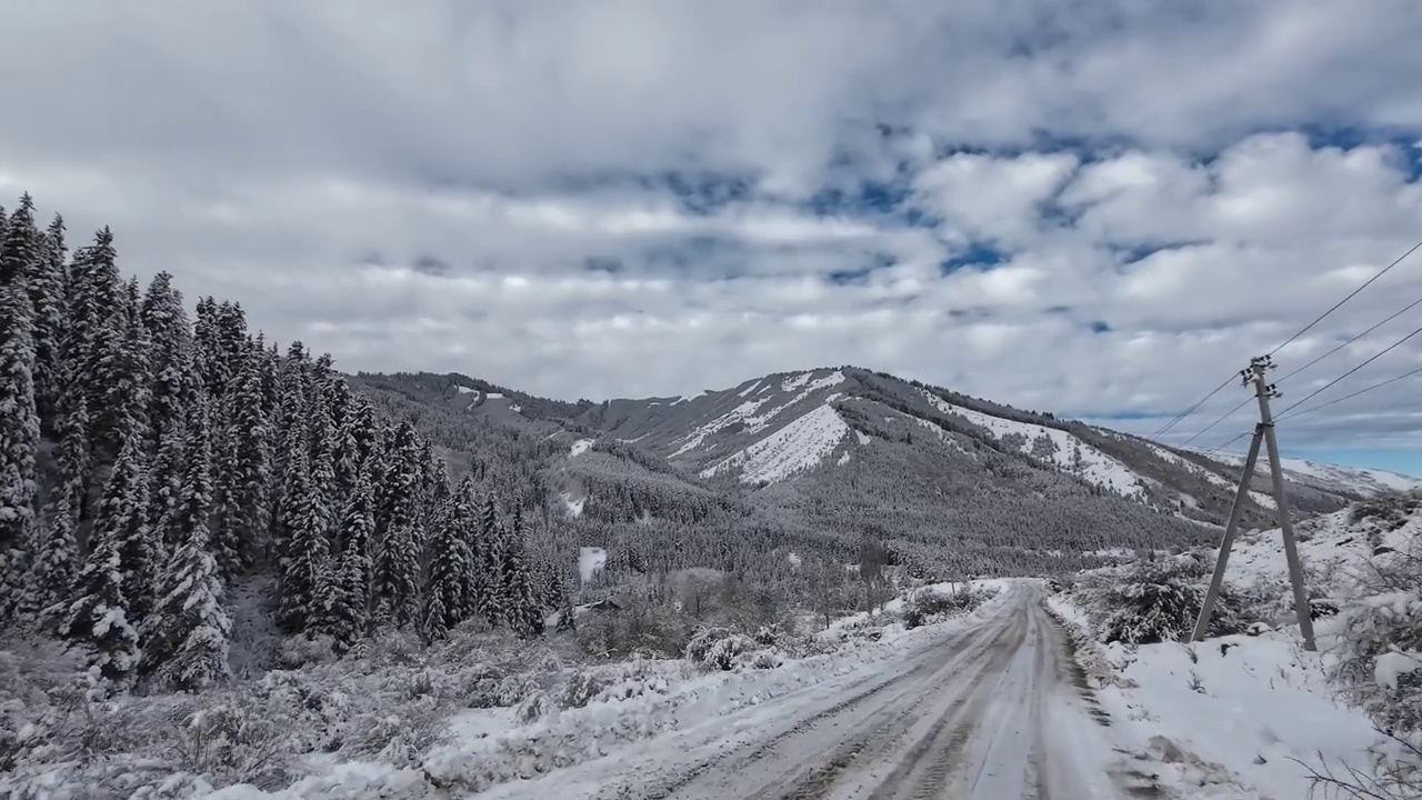 雪道穿过冬季的山林视频素材