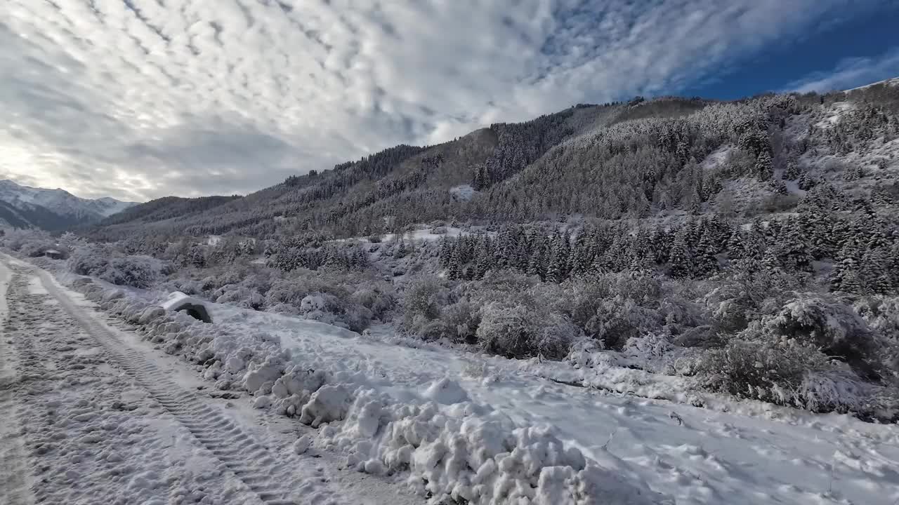 雪道穿过冬季的山林视频素材