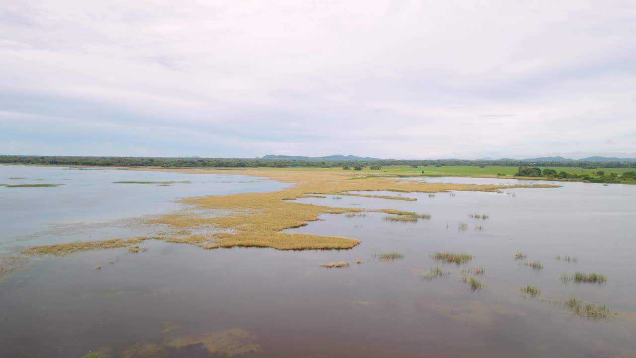 鸟瞰印度金奈夏日湖面上的草地。视频下载