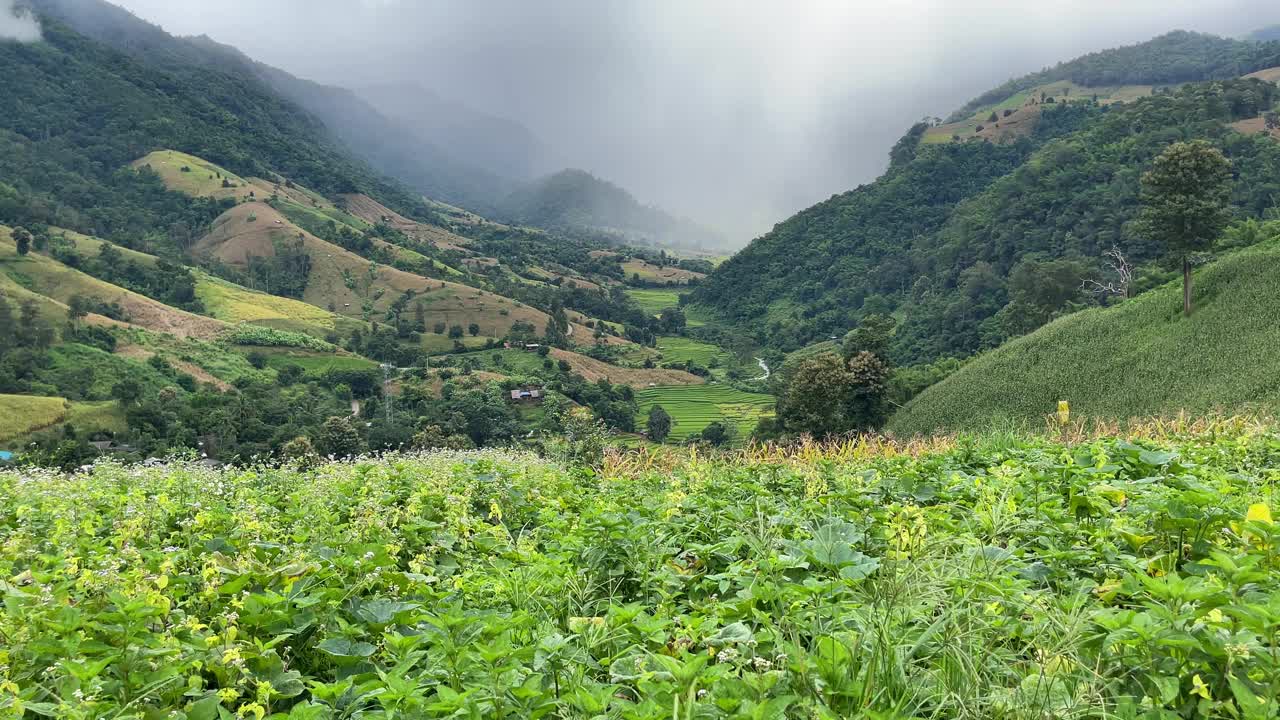 山水青翠，山峦薄雾，如此美丽视频下载