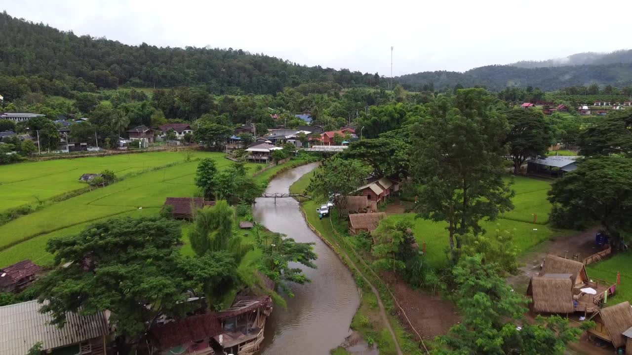 泰国绿色的稻田配山视频下载