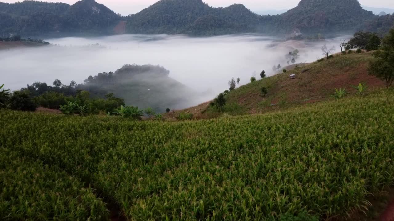 山景有雾，那么美视频下载