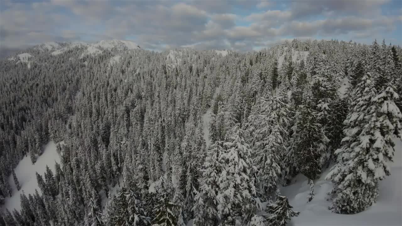 被雪覆盖的加拿大山地景观。空中自然背景。视频素材