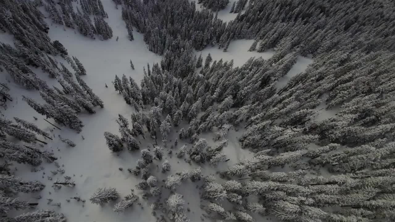 被雪覆盖的加拿大山地景观。空中自然背景。视频素材