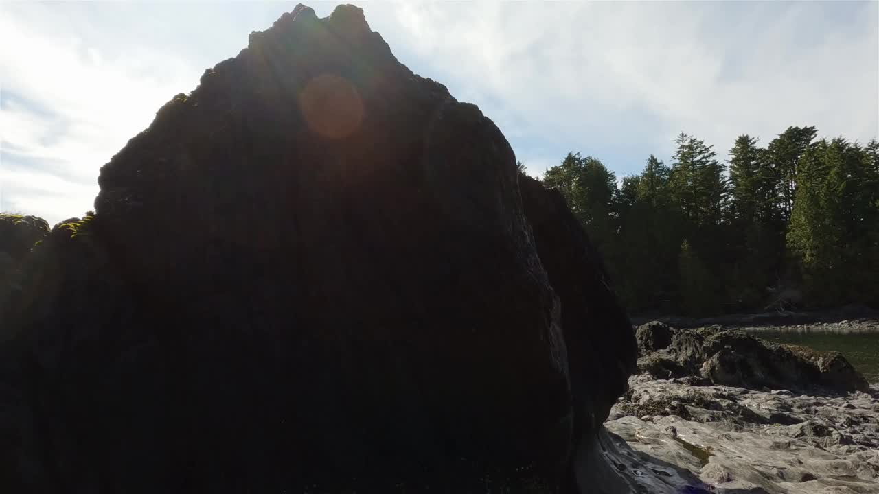 太平洋西海岸岩石海岸上的树木和崎岖的岩石。视频素材