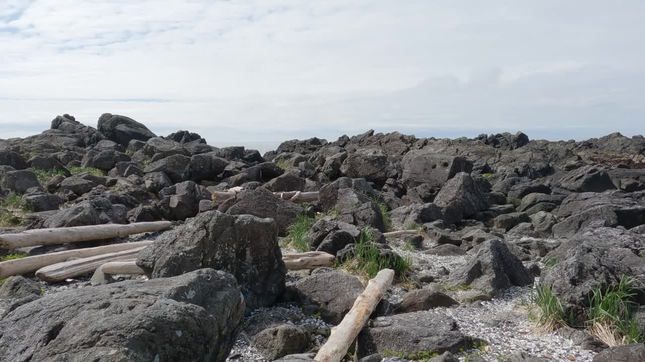 太平洋西海岸岩石海岸上的树木和崎岖的岩石。视频素材