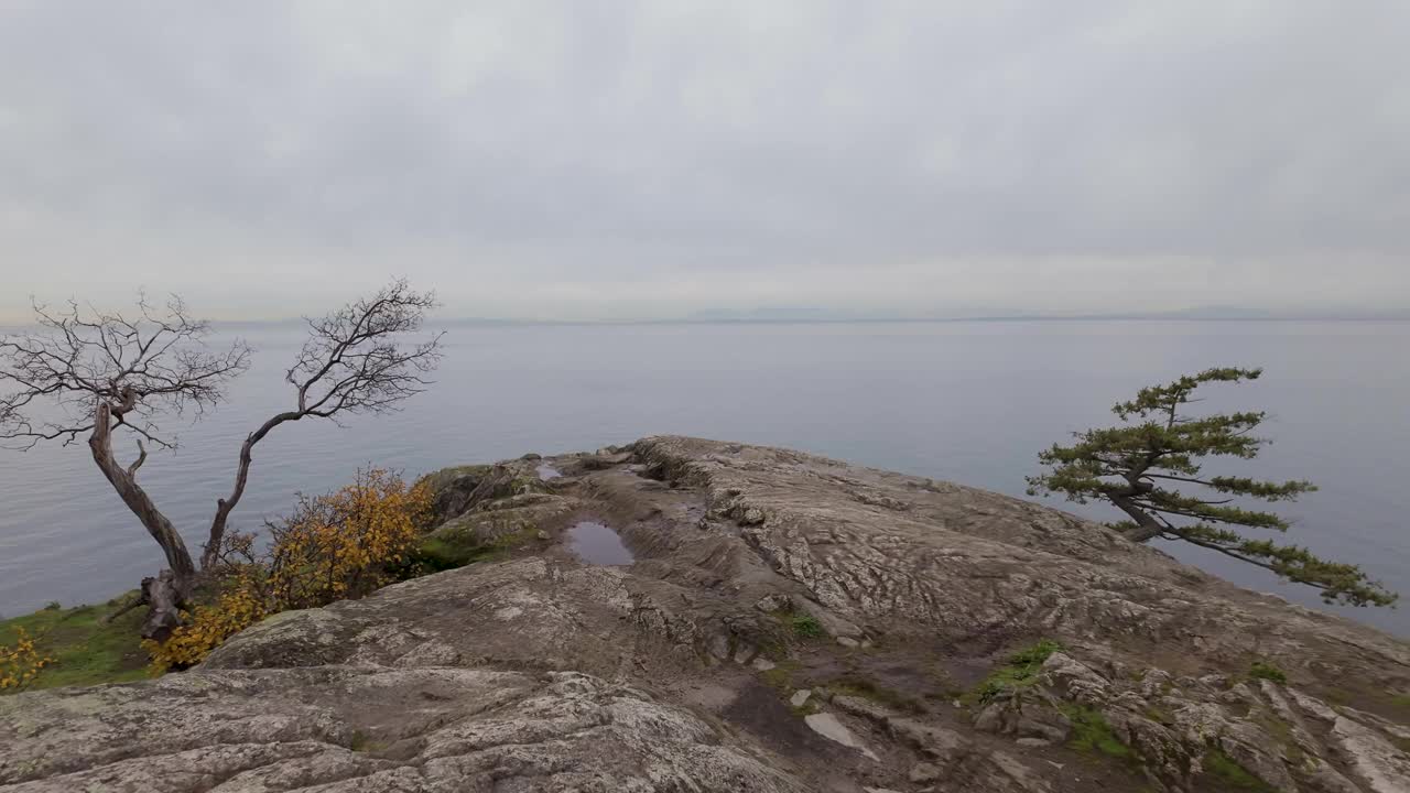 太平洋西海岸的岩石海岸。多云的秋天。视频素材