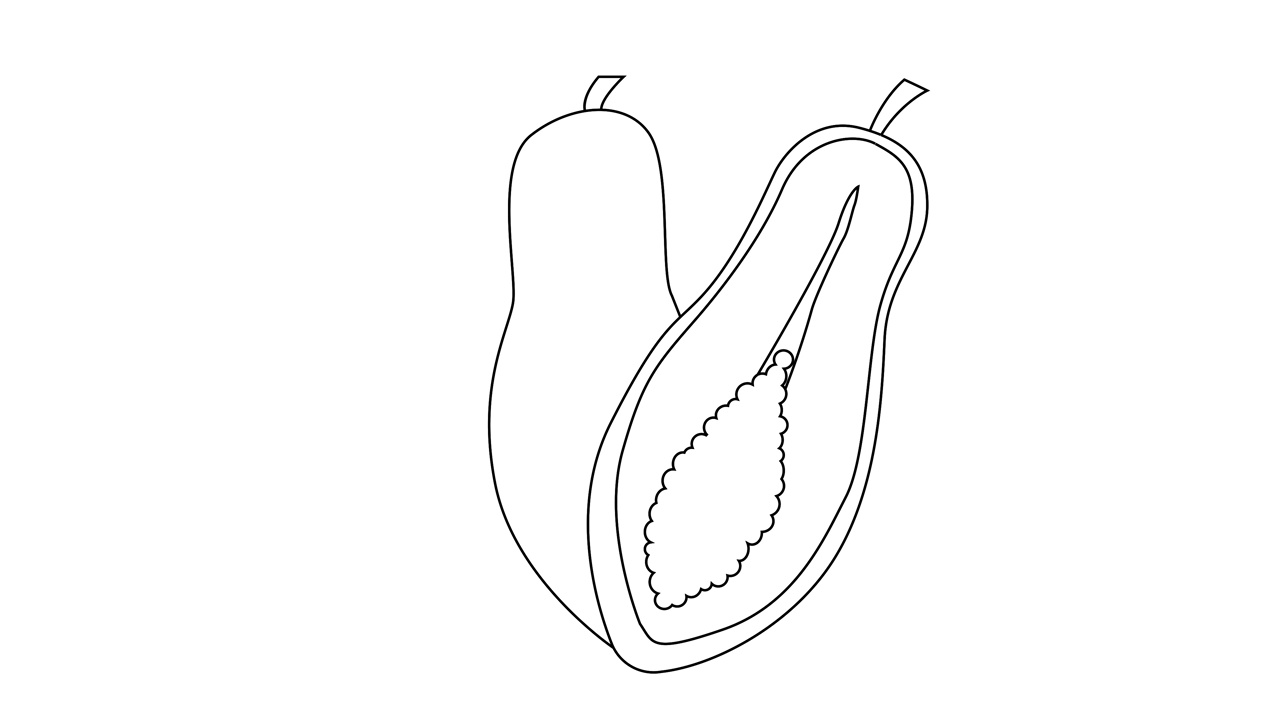 木瓜水果图标的动画草图视频素材