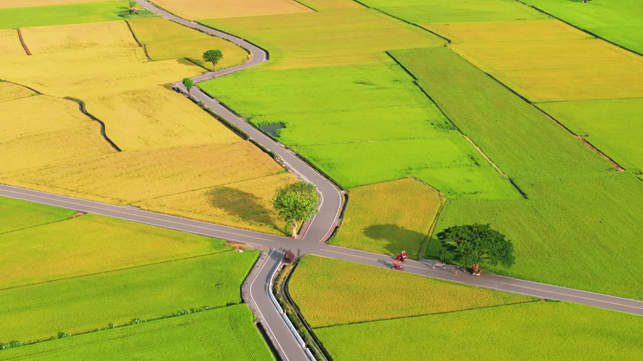 台湾台东水田鸟瞰图。视频素材