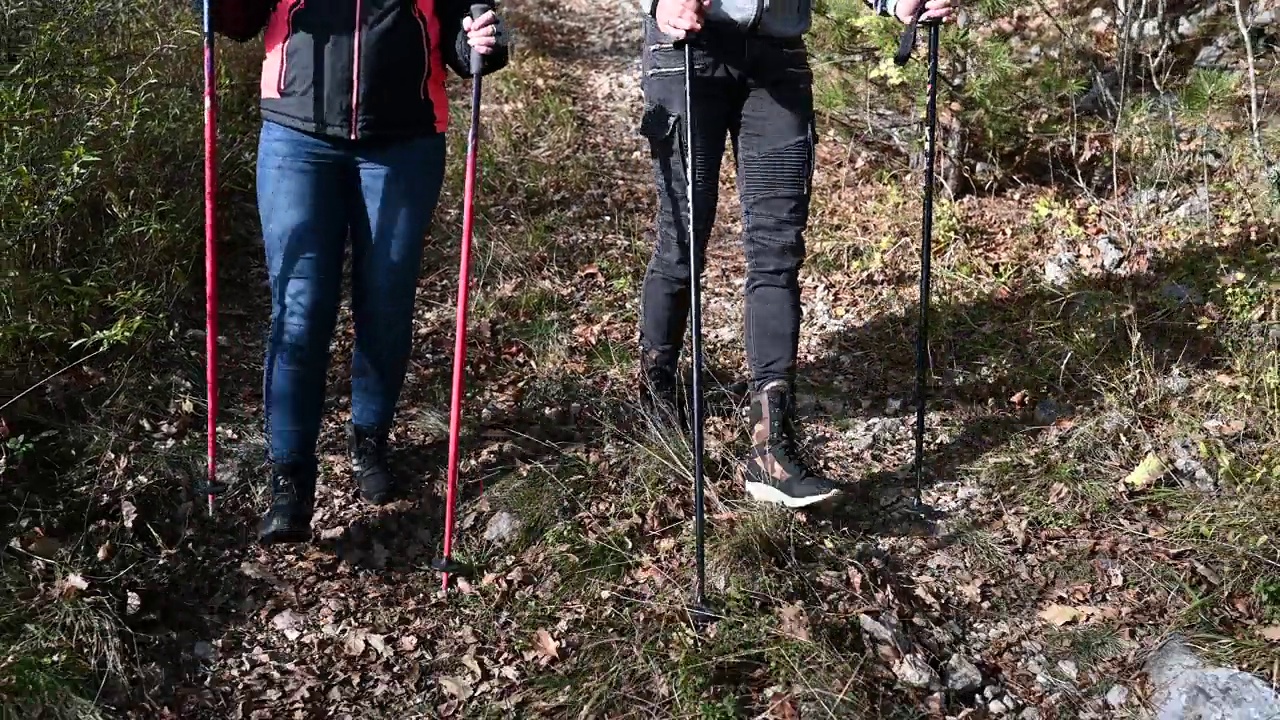 在森林里徒步旅行的幸福夫妇视频素材