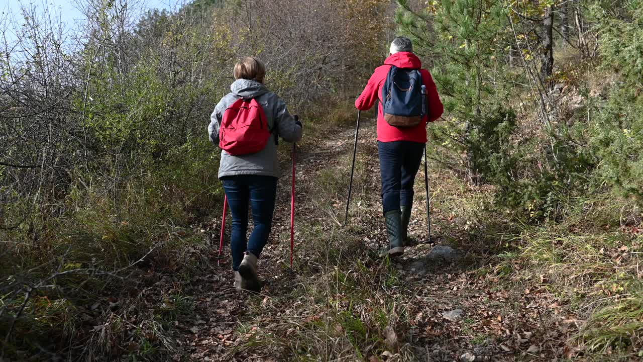 一对成熟的夫妇在森林里徒步旅行视频素材