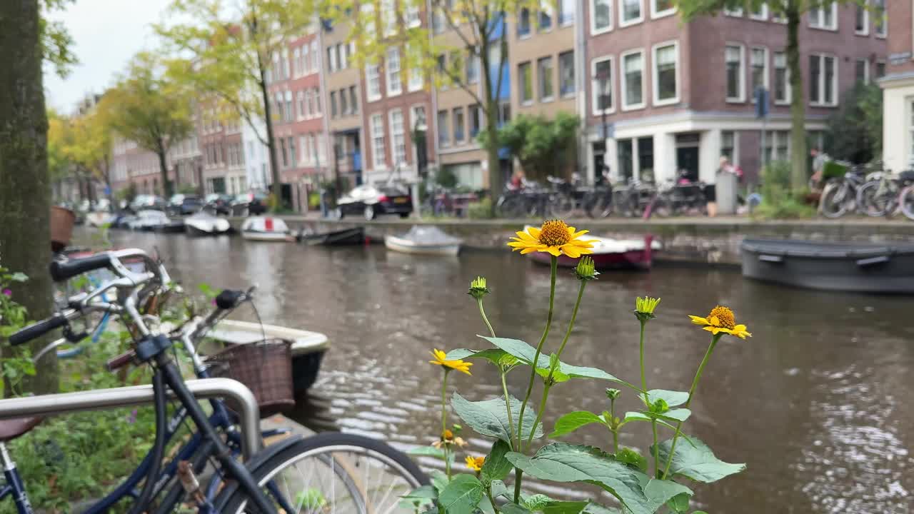 秋天，阿姆斯特丹运河上停满了船只和自行车视频下载