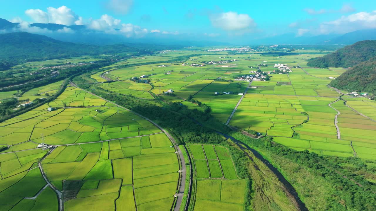 台湾花莲水田鸟瞰图。视频素材