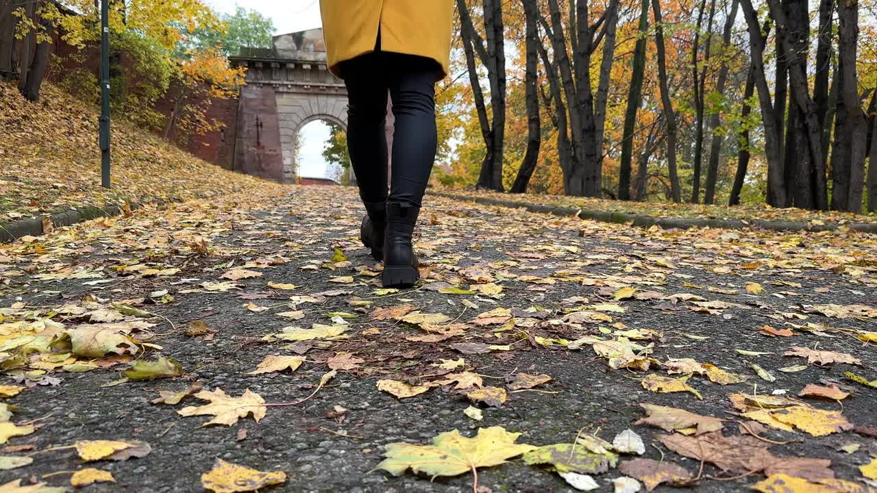 年轻女子在一个美丽的秋天公园里散步视频下载