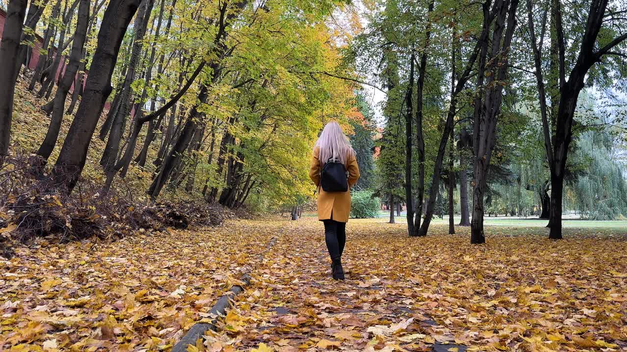 年轻女子在一个美丽的秋天公园里散步视频下载