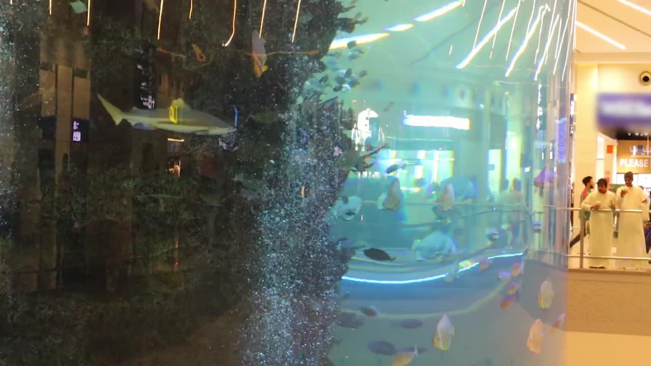 吉达，沙特阿拉伯:在沙特阿拉伯吉达，阿卜杜勒阿齐兹国王国际机场全新的1号航站楼的到达大厅里，巨大的珊瑚礁水族馆视频下载