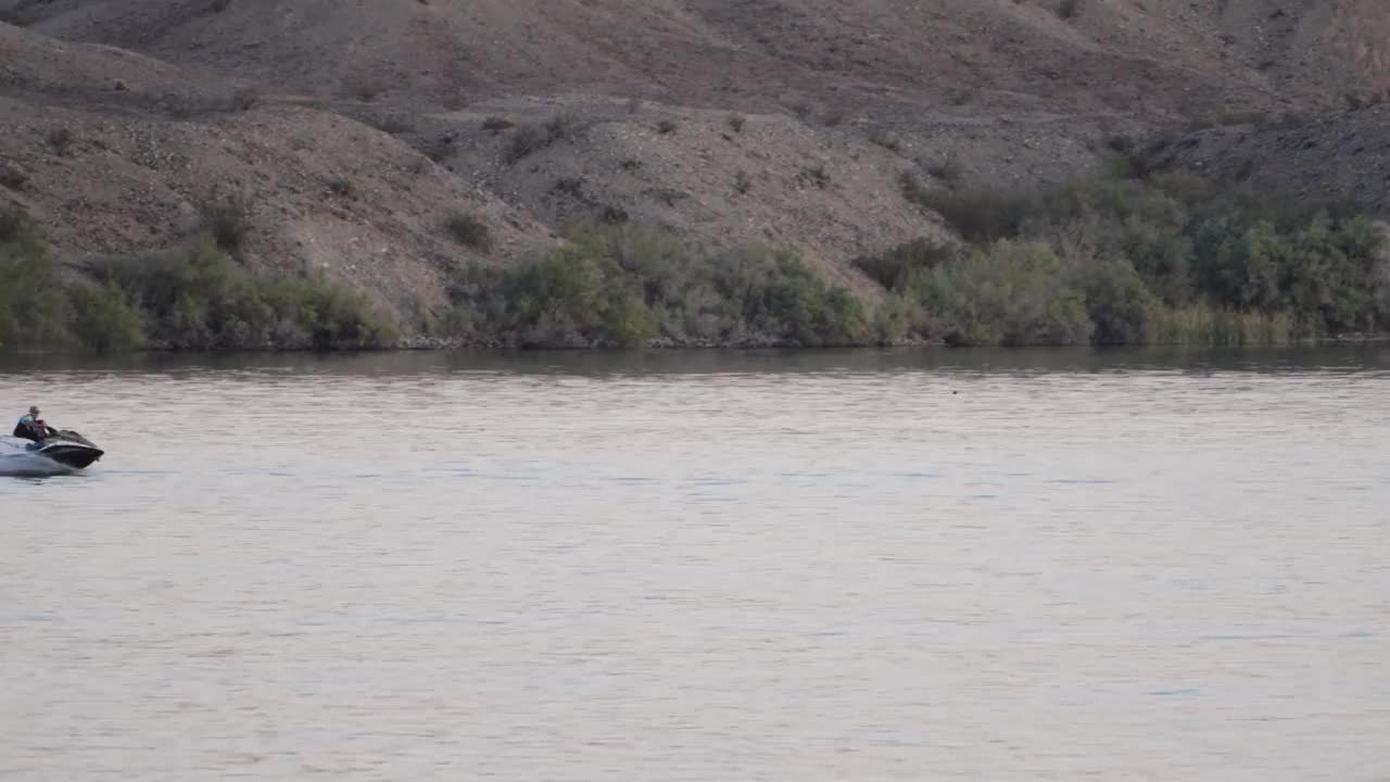 沙漠湖上飞驰的海鸟视频下载