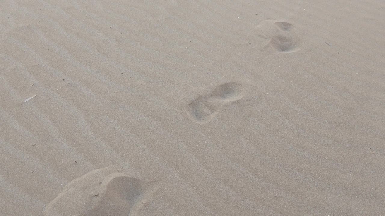 沙滩上的脚印视频素材