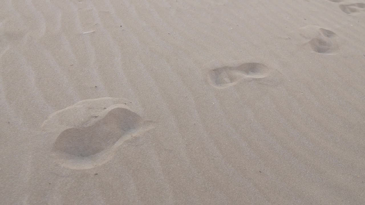 沙滩上的脚印视频素材