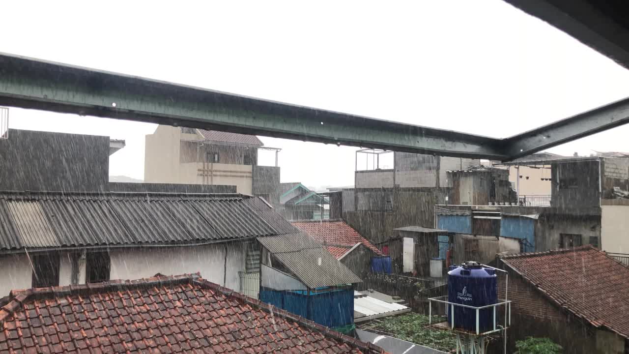 大雨视频下载