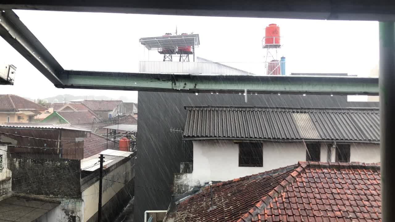 大雨视频下载