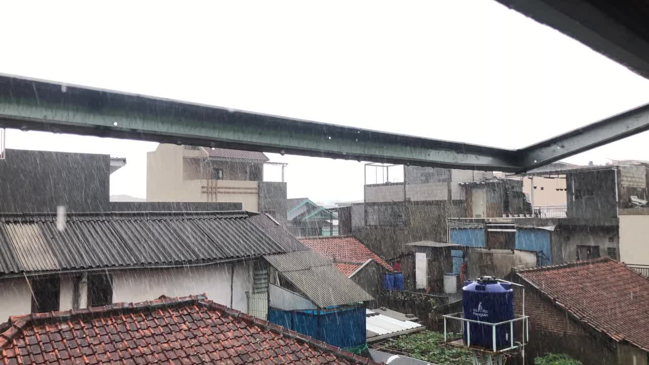 大雨视频下载