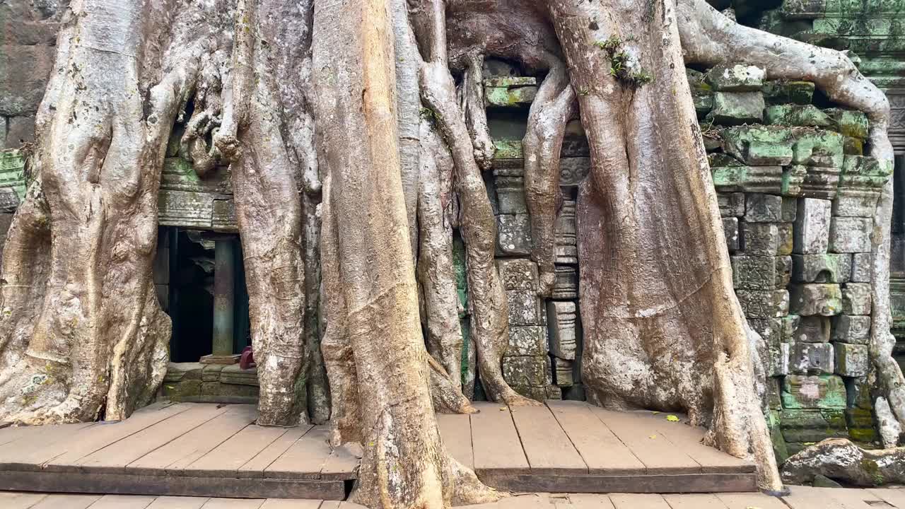 塔普罗姆，一座神秘的高棉文明寺庙，位于柬埔寨吴哥的领土上视频素材