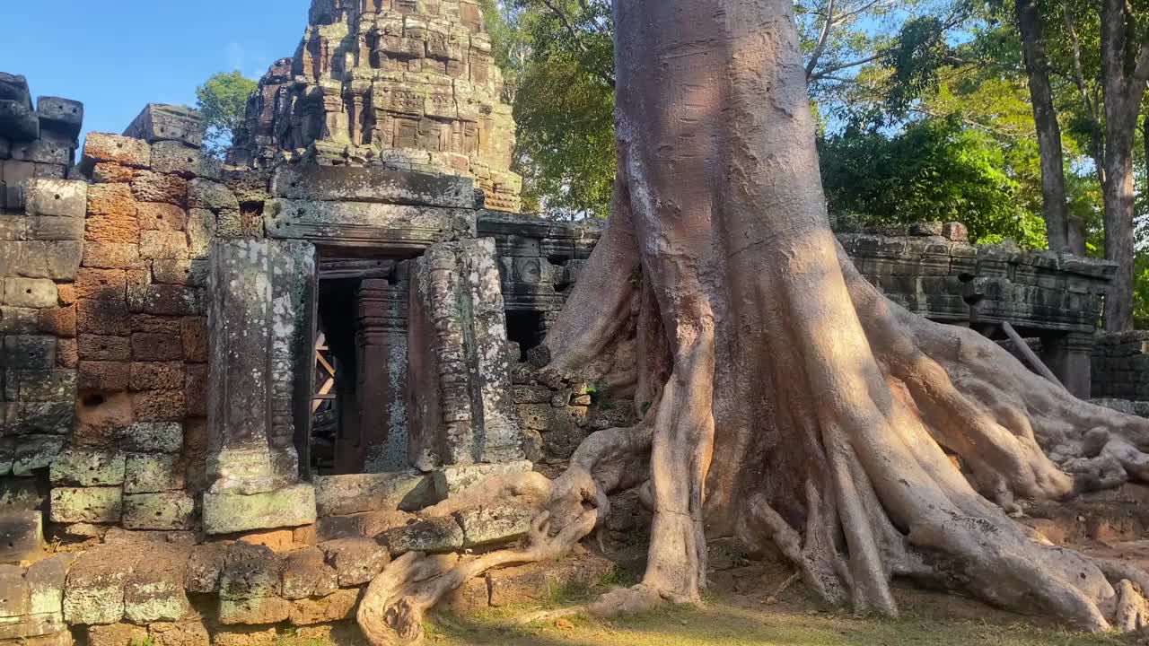 塔普罗姆，一座神秘的高棉文明寺庙，位于柬埔寨吴哥的领土上视频素材