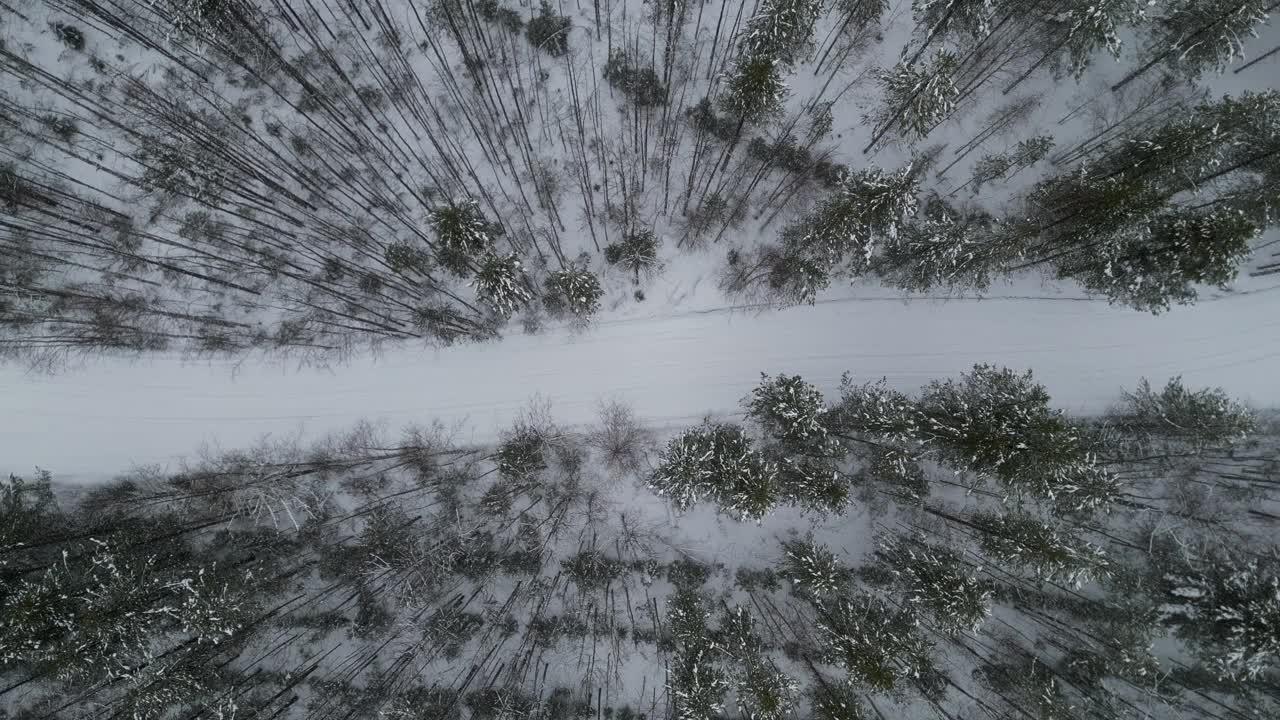 冬季汽车在白雪皑皑的森林中行驶在乡村公路上的航拍照片视频下载