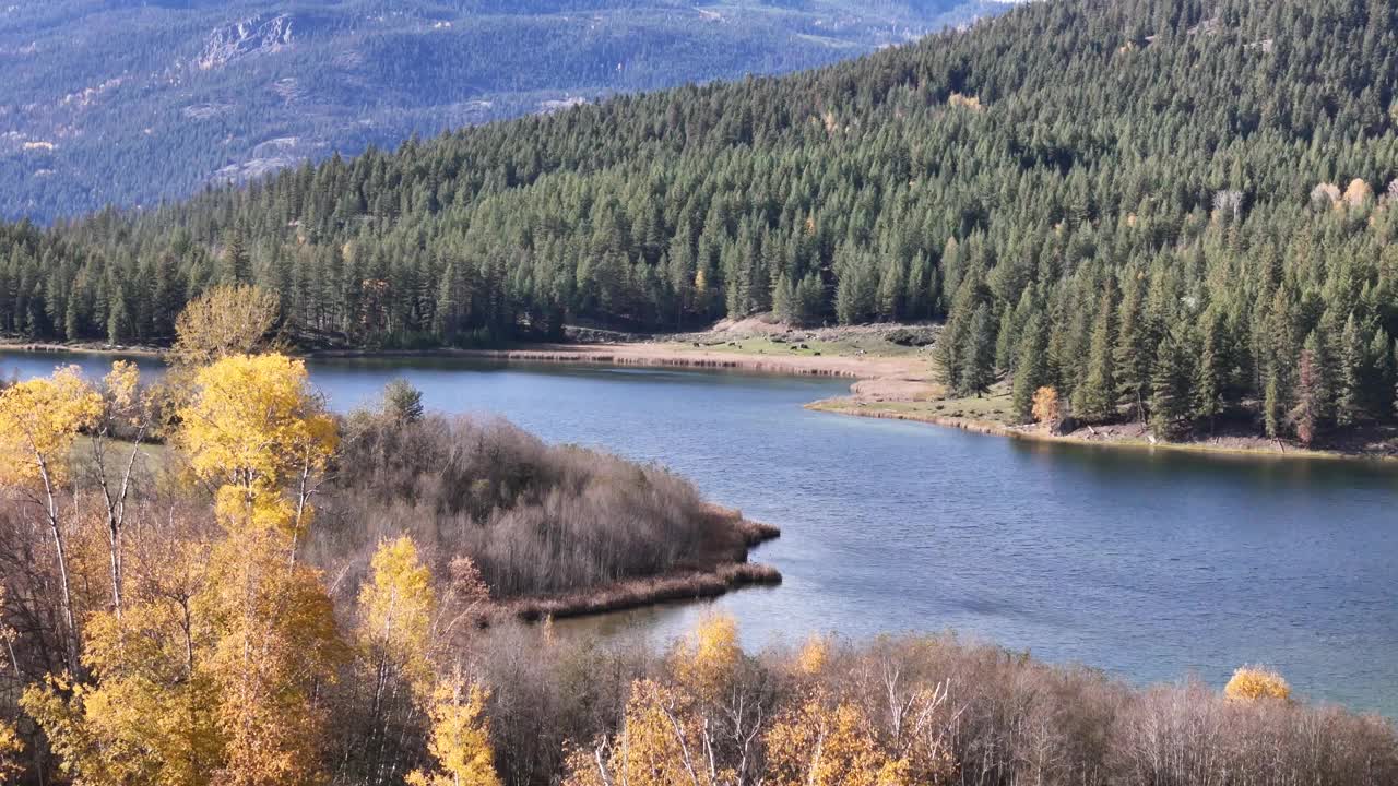 常绿的宁静:探索麦克塔加特湖在森林山脉视频素材