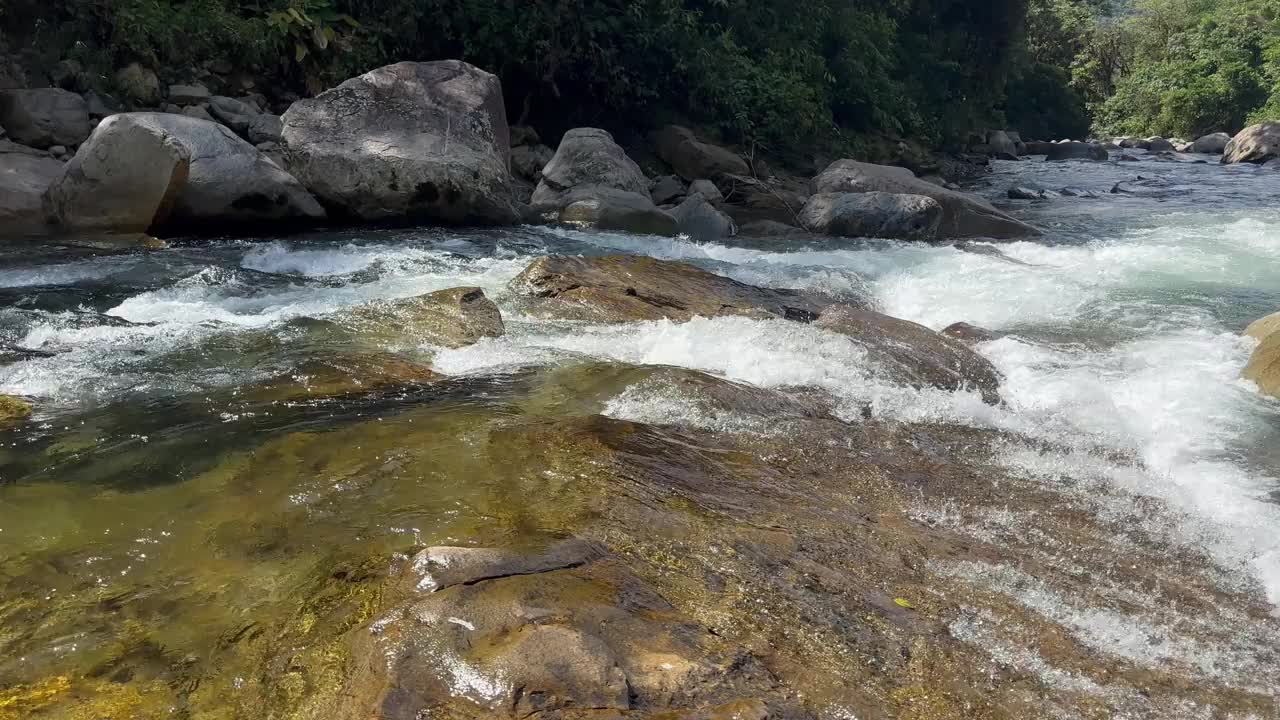 纯净自然的河水视频素材