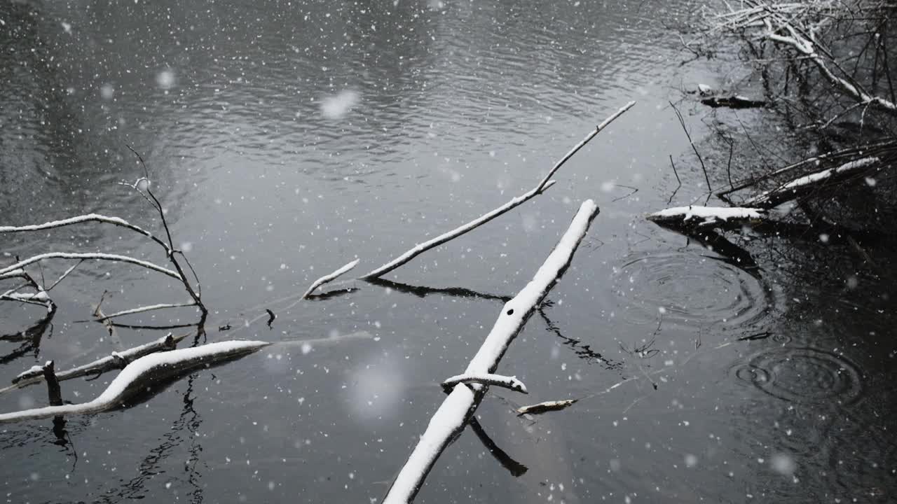 雪花落入河中落在原木上的慢镜头视频素材