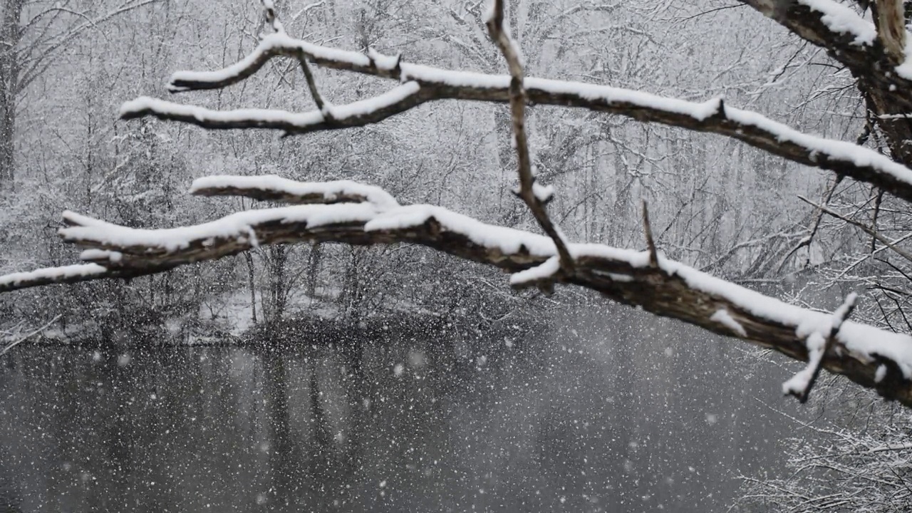 白雪覆盖的树枝在前景中，背景中有大量的雪在慢动作中落下视频素材